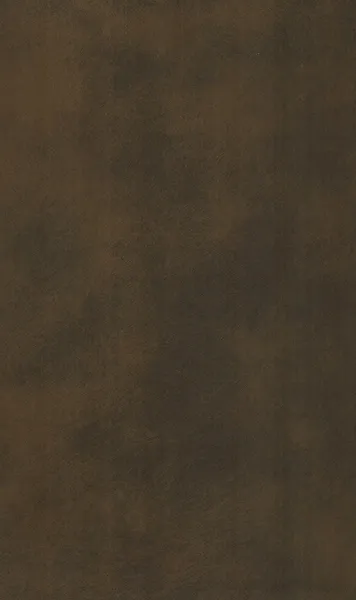 DM01
