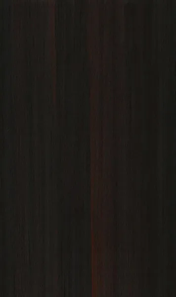 MS01