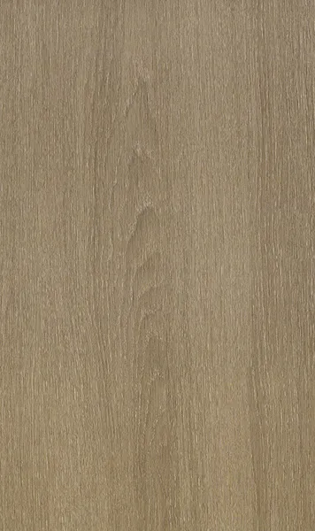 MS02