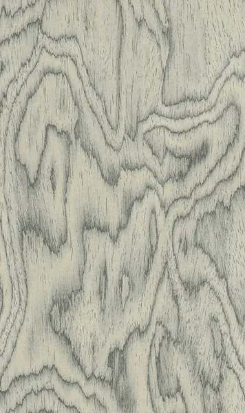 MS44