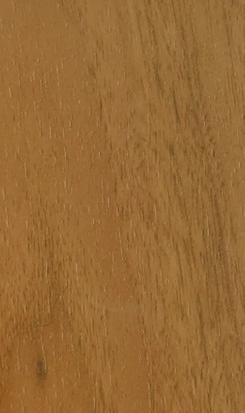 BM02