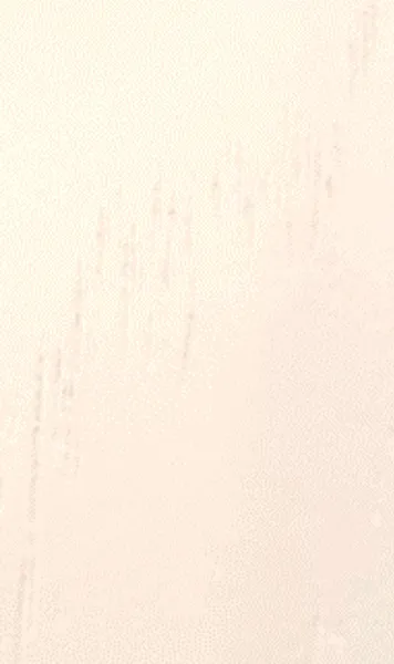 BM08
