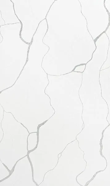 TM19